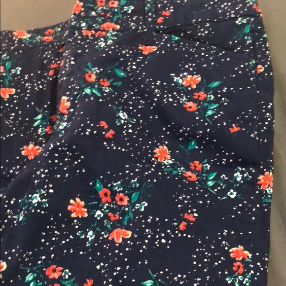 Capris - Picture 1 of 2